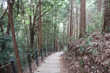 Obraz premium 日本の整備された登山道にて撮影