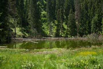 Obraz premium Tăul Zânelor Lake protected area, eastern Transylvania,, Bistrița-Năsăud,2020