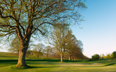 Fototapeta na wymiar Deserted beautiful golf course due to Corona virus outbreak. Beverley, UK.