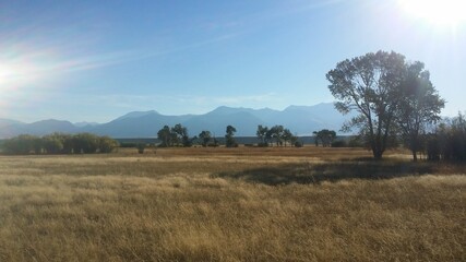Obraz premium Montana river in fall