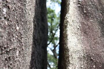 山の山頂にある大きな岩