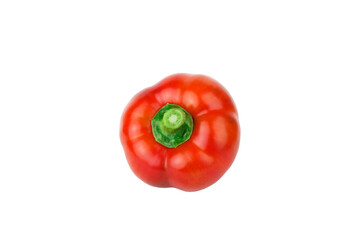 Red raw bell pepper, white background