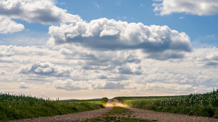Obraz premium Strasse mit Feld und bewölktem Himmel