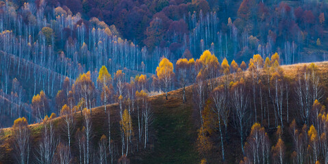 Panele Szklane  Piękny jesienny krajobraz z kolorowymi drzewami.