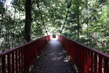 Fototapeta premium 山と山を繋ぐ架け橋