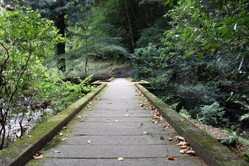 Fototapeta premium 山と山を繋ぐ架け橋