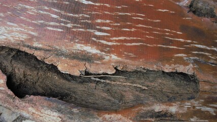 Brown old wood rotted background