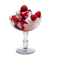A bowl of white ice cream drizzled with jam and sprinkled with raspberries.