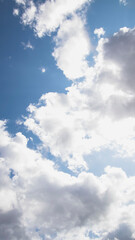 saejoon's sky 7