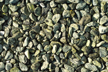 Drainage systems from small pebbles. Garden drainage for plants and trees. Green stones for roads and flower beds.