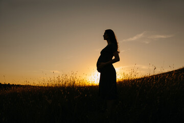 Silhouette of a pregnant woman in a field at sunset.