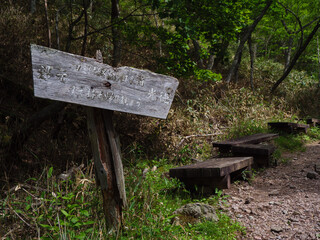 奥日光の切込湖・刈込湖～涸沼のハイキング道
