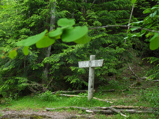 奥日光の切込湖・刈込湖～涸沼のハイキング道