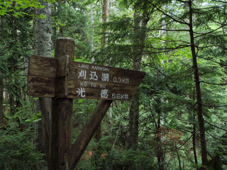 奥日光の切込湖・刈込湖～涸沼のハイキング道