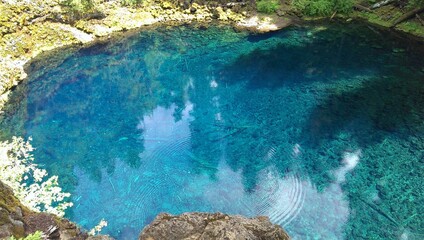 Naklejka na ściany i meble Blue Pool Oregon clear water forest