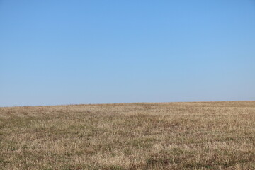 Autumn field in Serbia