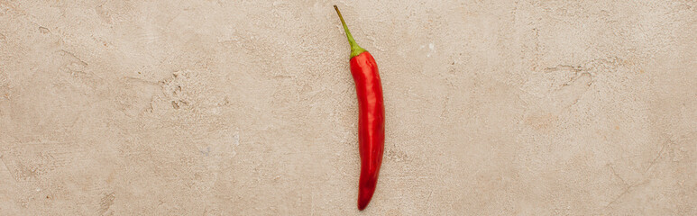 top view of red chili pepper on beige concrete surface, panoramic shot - obrazy, fototapety, plakaty
