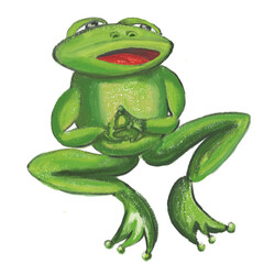 green frog on white background