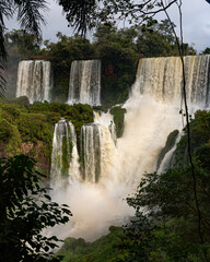 Waterfalls in the middle of the jungle, iguazu national park in south america