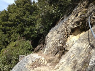 Mountain forest views in Castle Rock State Park
