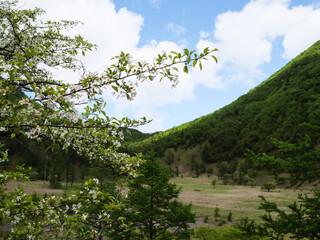 奥日光の涸沼（切込湖・刈込湖）