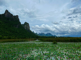 The mountain and the green lotus pond under the cloudy sky in Prachuab KiriKhan, Thailand