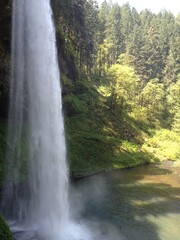 Silver Falls waterfall in the forest