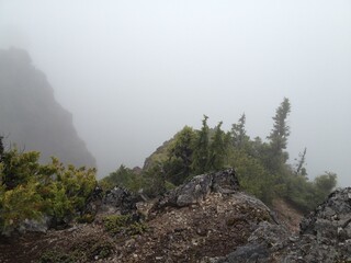 fog on mountain peak