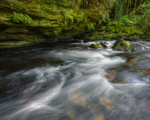 Stream of a river against a slate wall covered in moss and ferns