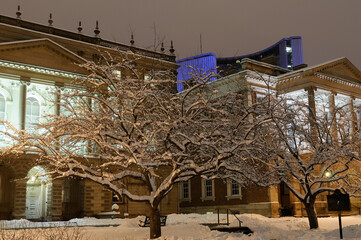 Snow covered trees in front of Osgoode Hall Toronto Center and East Wings