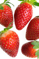 Five strawberries close up on a white background