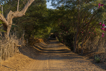 camino