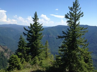 Forest mountain landscape blue sky