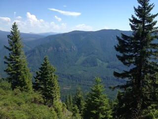 Obraz premium Forest mountain landscape blue sky