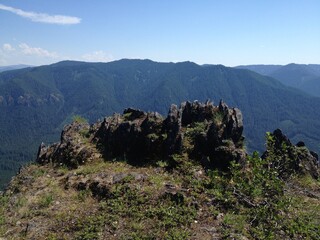 Naklejka premium Forest mountain landscape blue sky