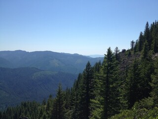 Forest mountain landscape blue sky