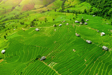 Aerial view of Rice terrace at Ban pa bong piang in Chiang mai, Thailand.