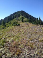 Fototapeta premium mountain range blue sky forest