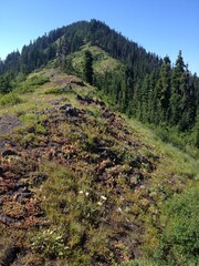 mountain range blue sky forest