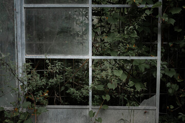 Old and moody architecture photography