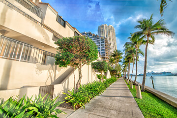 Miami Brickell Key buildings and trees on a sunny morning, Florida, USA © jovannig