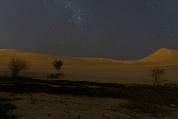 desierto de noche