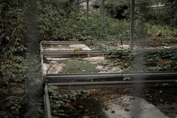 Old and moody architecture photography