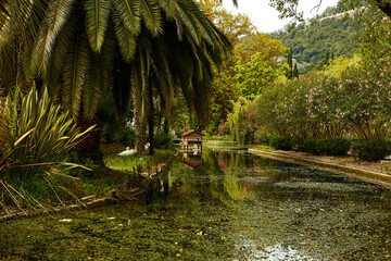 Palm trees in the lake park Suitable for relaxation.