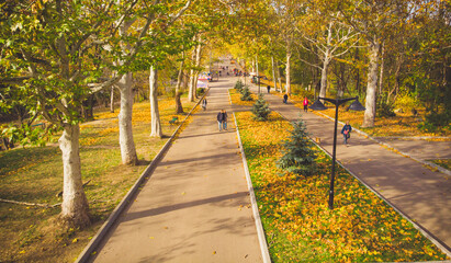 People walking in autumn park with golden leaves on sunny weather. Aerial view