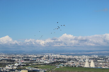 aerial view of the city