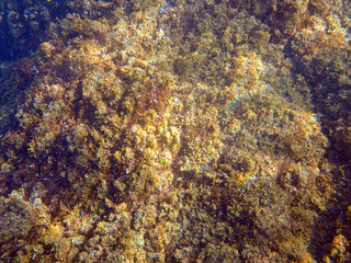 Paesaggio marino - 69