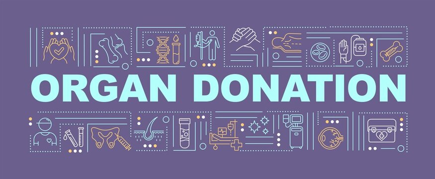 Organ donation word concepts banner. Transplantation clinic, charitable foundation infographics with linear icons on purple background. Isolated typography. Vector outline RGB color illustration