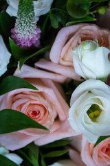 Delicate pink and white roses in green foliage