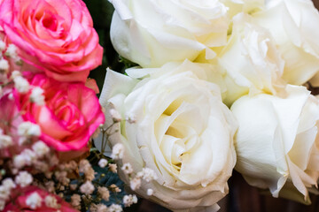 Delicate pink and white roses